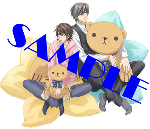 純情ロマンチカ3 DVD限定版　全6巻セット　アニメイト特典全巻収納BOX付き